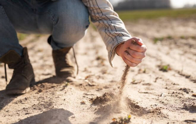 Desafios climáticos: agronegócio sofre com fenômeno El Niño