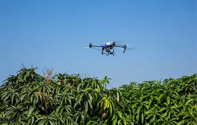 As 5 principais funções dos drones na agricultura