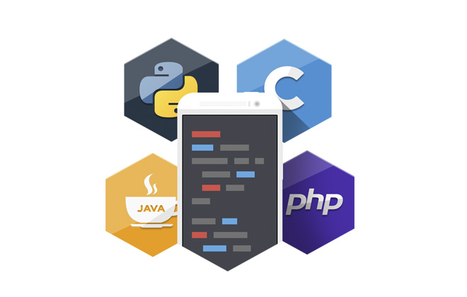 Programming Hub: Aplicativo para aprender a programar
