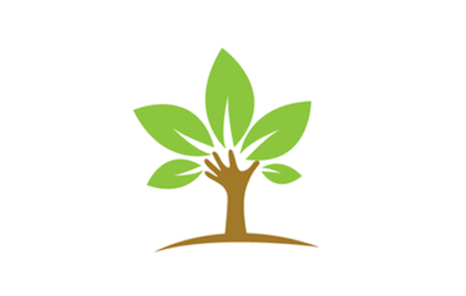 Cultivar: Um aplicativo para quem gosta de horticultura