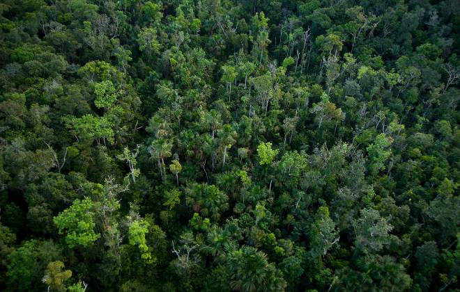Quatro novas pesquisas internacionais ajudam a monitorar e proteger territórios na Amazônia, fruto da parceria entre NASA, USAID e Imaflora